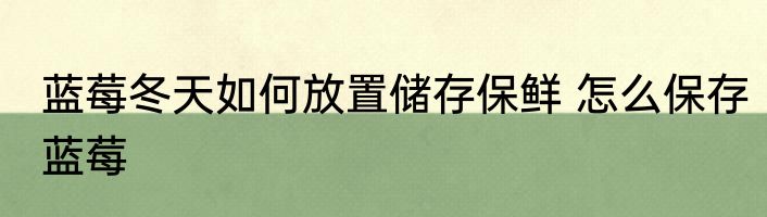 蓝莓冬天如何放置储存保鲜 怎么保存蓝莓