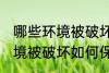 哪些环境被破坏怎样保护环境 哪些环境被破坏如何保护环境