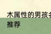 木属性的男孩名字 木属性的男孩名字推荐
