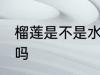 榴莲是不是水果之王 榴莲是水果之王吗