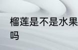 榴莲是不是水果之王 榴莲是水果之王吗