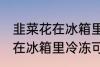 韭菜花在冰箱里冷冻能放多久 韭菜花在冰箱里冷冻可以放多长时间