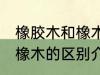 橡胶木和橡木的区别是什么 橡胶木和橡木的区别介绍