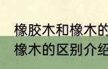橡胶木和橡木的区别是什么 橡胶木和橡木的区别介绍