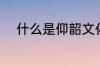 什么是仰韶文化 仰韶文化的解释
