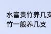 水富贵竹养几支最旺事业运 水养富贵竹一般养几支