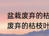 盆栽废弃的枯枝叶属于什么垃圾 盆栽废弃的枯枝叶是什么垃圾