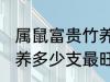 属鼠富贵竹养几支最旺运 属鼠富贵竹养多少支最旺运