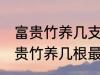 富贵竹养几支最旺运属蛇的 属蛇养富贵竹养几根最招财