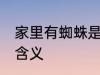 家里有蜘蛛是什么兆头 家里有蜘蛛的含义