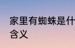 家里有蜘蛛是什么兆头 家里有蜘蛛的含义