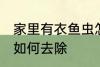 家里有衣鱼虫怎么去除 家里有衣鱼虫如何去除