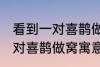 看到一对喜鹊做窝有什么兆头 看到一对喜鹊做窝寓意