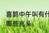 喜鹊中午叫有什么兆头 喜鹊中午叫有哪些兆头