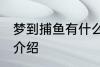 梦到捕鱼有什么兆头 梦见捕鱼的寓意介绍