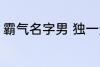 霸气名字男 独一无二的霸气名字男孩