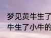 梦见黄牛生了小牛有什么兆头 梦见黄牛生了小牛的寓意是啥