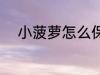 小菠萝怎么保存 怎么存放小菠萝