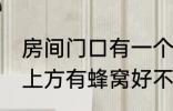 房间门口有一个蜂窝是什么兆头 门口上方有蜂窝好不好