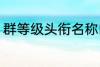 群等级头衔名称四个字 群名称有哪些