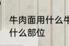 牛肉面用什么牛肉部位 牛肉面用牛肉什么部位