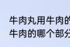牛肉丸用牛肉的什么部分做 牛肉丸用牛肉的哪个部分做