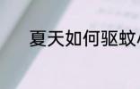 夏天如何驱蚊小妙招 如何驱蚊