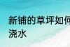 新铺的草坪如何浇水 新铺的草坪怎么浇水