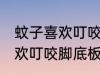 蚊子喜欢叮咬脚底板怎么回事 蚊子喜欢叮咬脚底板原因