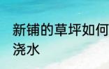 新铺的草坪如何浇水 新铺的草坪怎么浇水