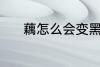 藕怎么会变黑 为什么藕会变黑