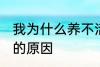 我为什么养不活杜鹃花 养不活杜鹃花的原因