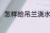 怎样给吊兰浇水 要如何给吊兰浇水