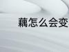 藕怎么会变黑 为什么藕会变黑