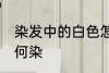 染发中的白色怎么染 染发中的白色如何染