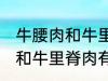 牛腰肉和牛里脊肉有什么不同 牛腰肉和牛里脊肉有何不同