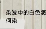 染发中的白色怎么染 染发中的白色如何染