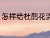 怎样给杜鹃花浇水 如何给杜鹃花浇水