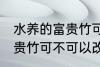 水养的富贵竹可以改土养吗 水养的富贵竹可不可以改土养