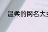 温柔的网名大全 比较温柔的网名