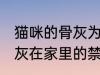 猫咪的骨灰为什么不能放家里 宠物骨灰在家里的禁忌