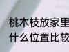 桃木枝放家里什么位置 桃木枝放家里什么位置比较好