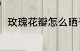 玫瑰花瓣怎么晒干 如何晒玫瑰花干