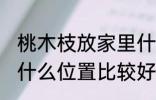 桃木枝放家里什么位置 桃木枝放家里什么位置比较好