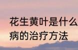 花生黄叶是什么病如何防止 花生黄叶病的治疗方法