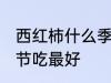 西红柿什么季节吃最好 小番茄什么季节吃最好