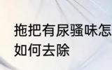 拖把有尿骚味怎么去除 拖把有尿骚味如何去除