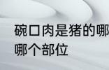 碗口肉是猪的哪个部位 碗口肉在猪的哪个部位
