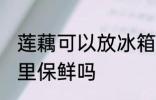 莲藕可以放冰箱保鲜吗 莲藕能放冰箱里保鲜吗