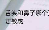 舌头和鼻子哪个更敏感 舌头和鼻子谁更敏感